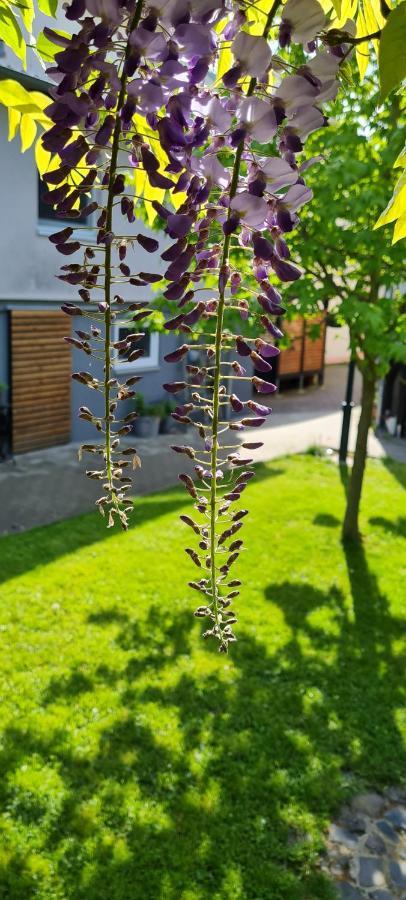 Apartment Maigloeckchen Fritzlar Luaran gambar